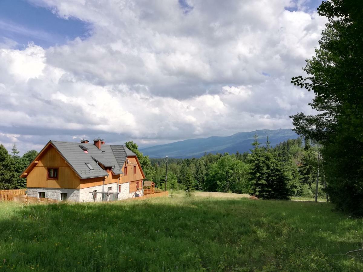 Apartament Marzenie *